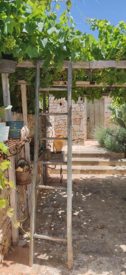 세글리에 메사피카 Trulli Il Geco Sognante 빌라 외부 사진